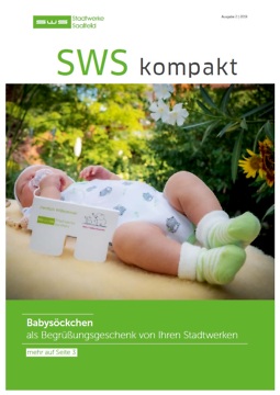 Bild von SWS Kompakt 2_2019